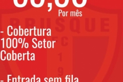 Adesão de novos sócios é a meta do marketing do Brusque FC; saiba como aderir