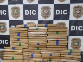 Tabletes de maconha apreendidos pela Polícia Civil (Foto: Polícia Civil Brusque/divulgação)